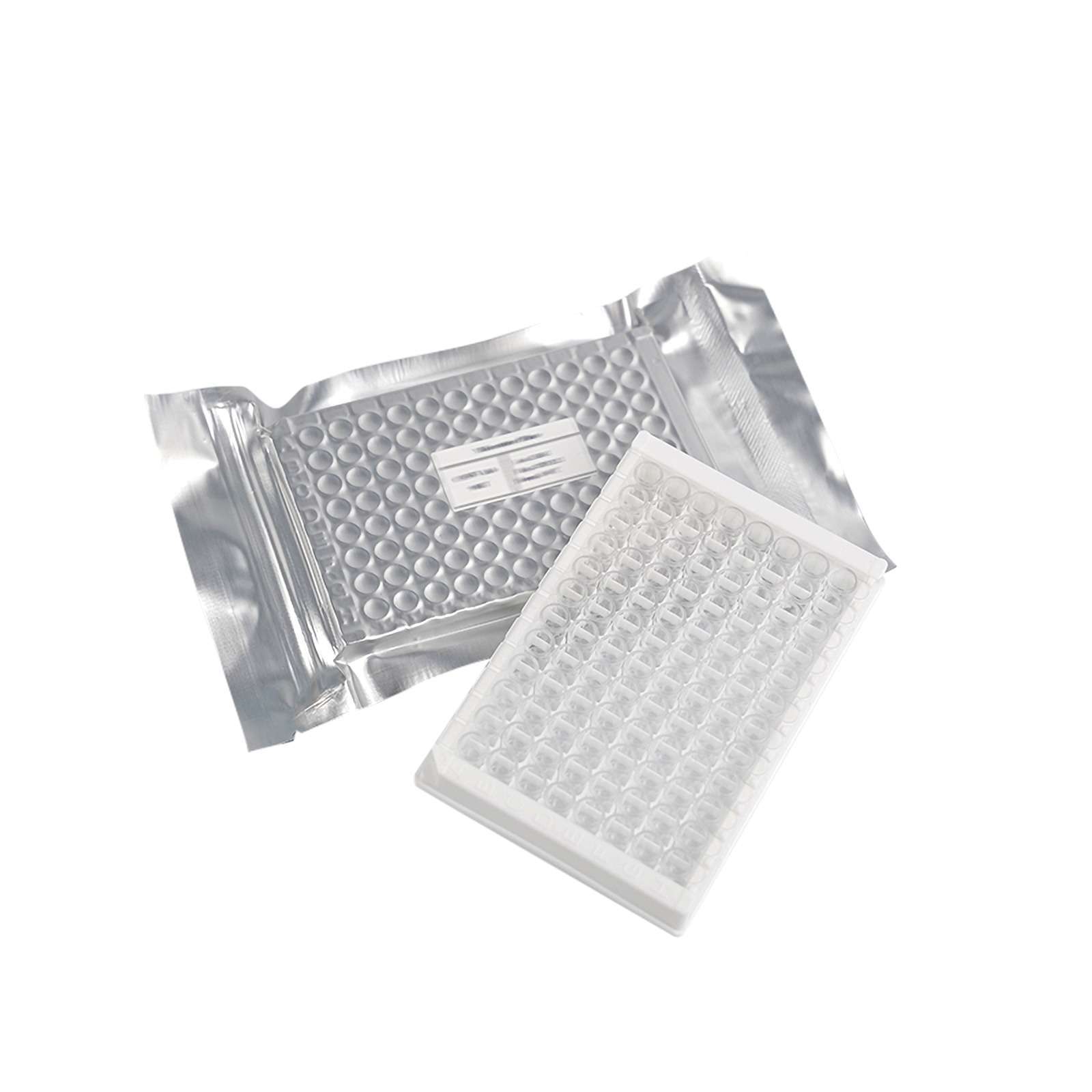 Aflatoxin M1 (AFM1) ELISA Kit 3