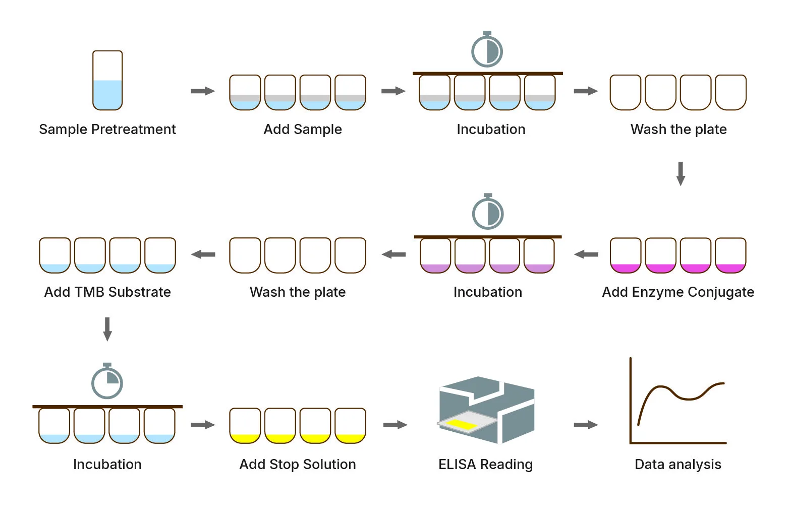 Animal-elisa-indirect-method-S-P（Finderbio）