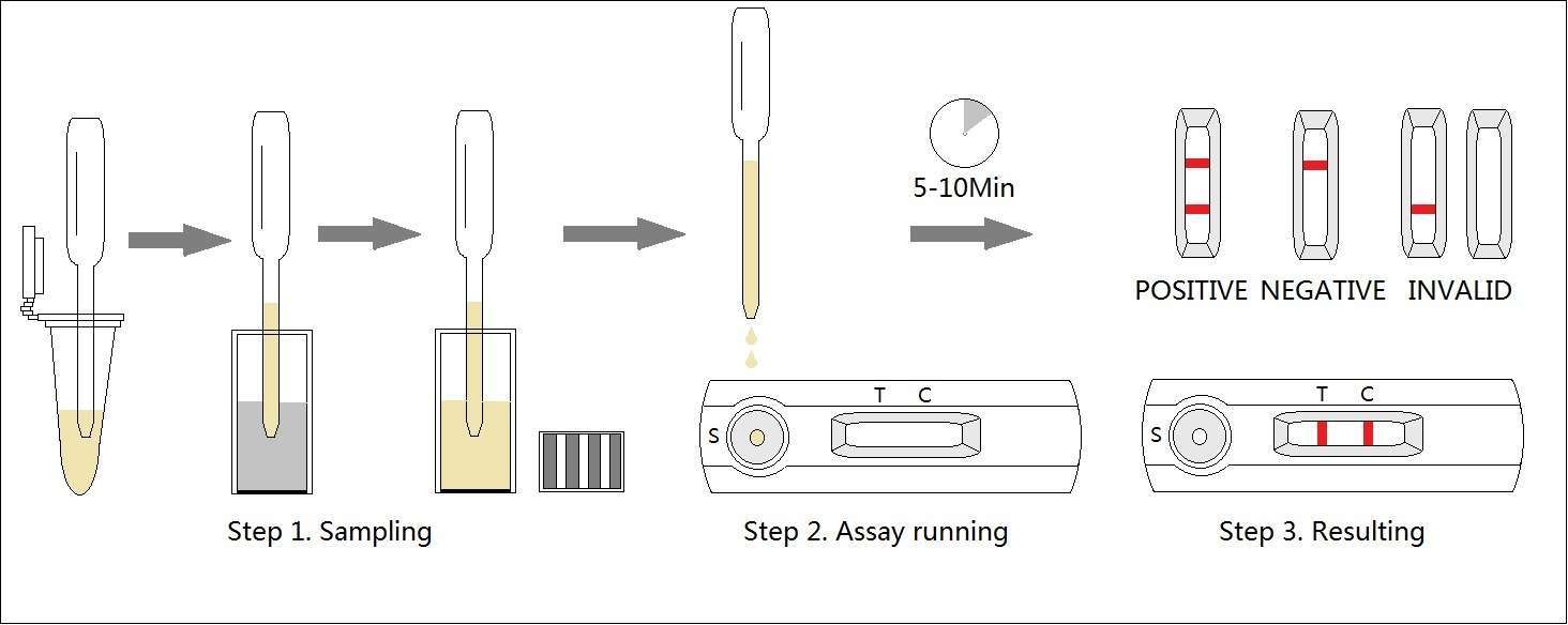 Canine Anaplasma Antibody Rapid Test Kit
