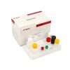 Classical Swine Fever Virus Antibody (CSFV Ab) ELISA Kit 1