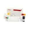 Classical Swine Fever Virus Antibody (CSFV Ab) ELISA Kit 3