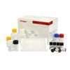 Deoxynivalenol (DON) ELISA Kit 1