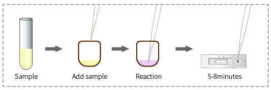 Finderbio Rapid Test Kit Color-micro Method