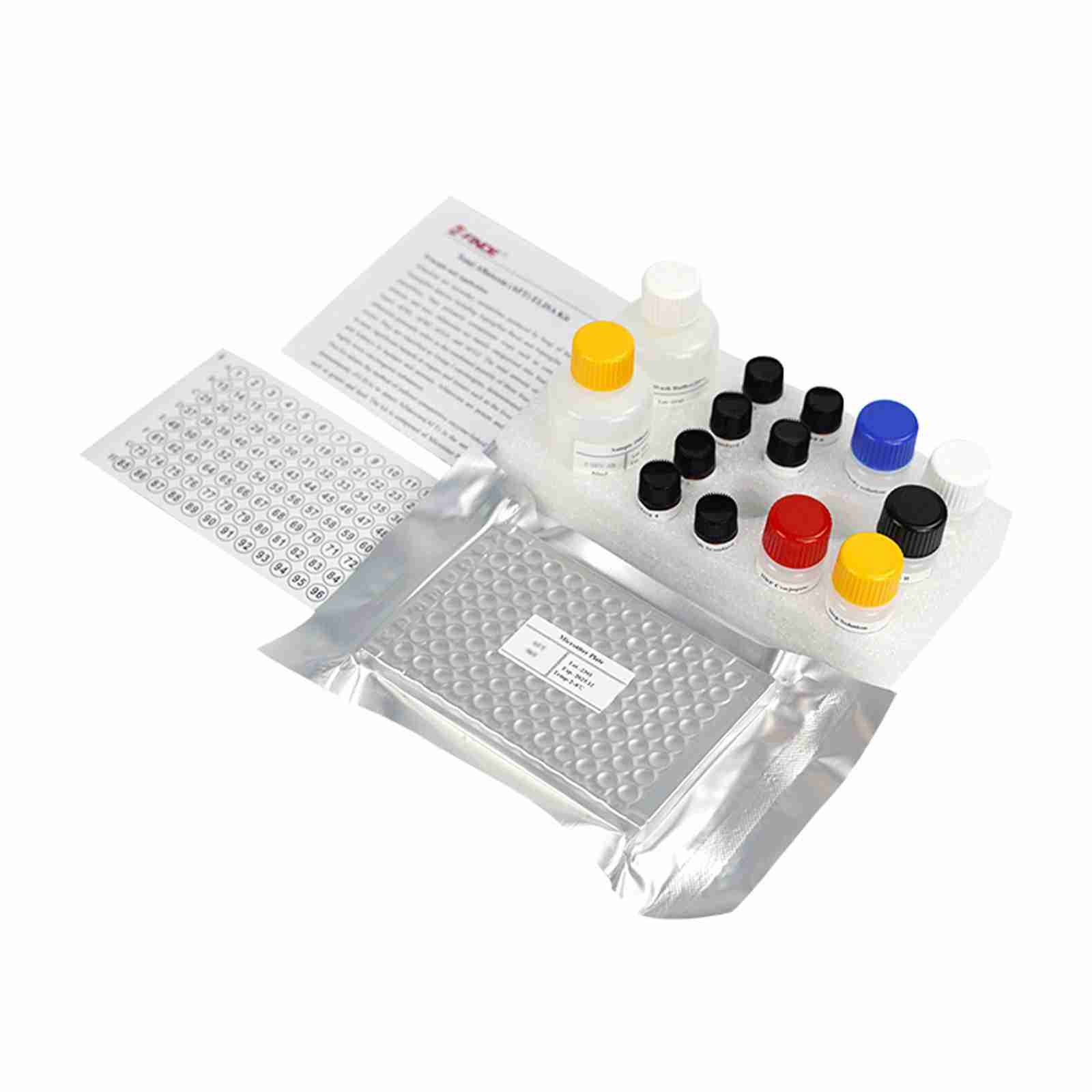 Florfenicol (FF) ELISA Kit 2