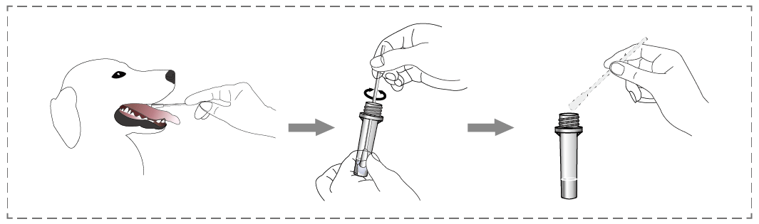 CPV Rapid Test Kit