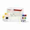 Sulfamethazine (SM2) ELISA Kit 1
