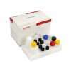 T-2 Toxin (T2) ELISA Kit 2