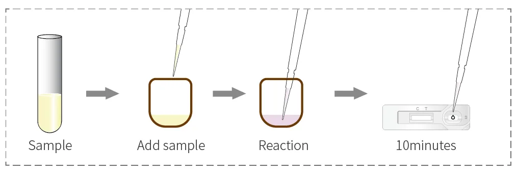 micropore-test-2