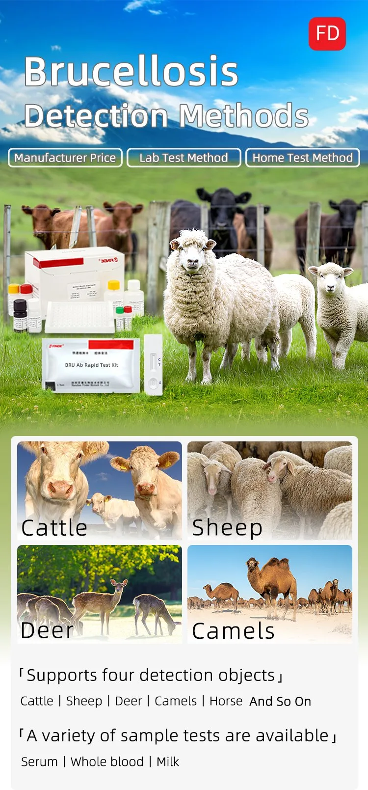 Brucellosis Antibody Detection Methods4