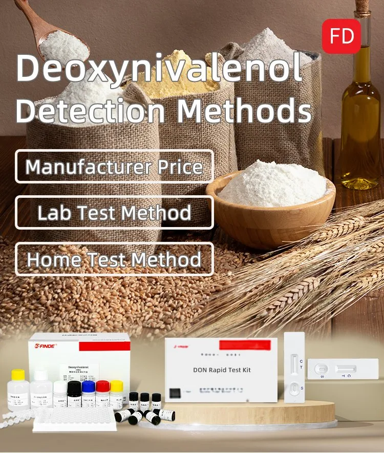 Deoxynivalenol Detection Methods 4