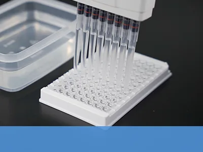 ELISA Test