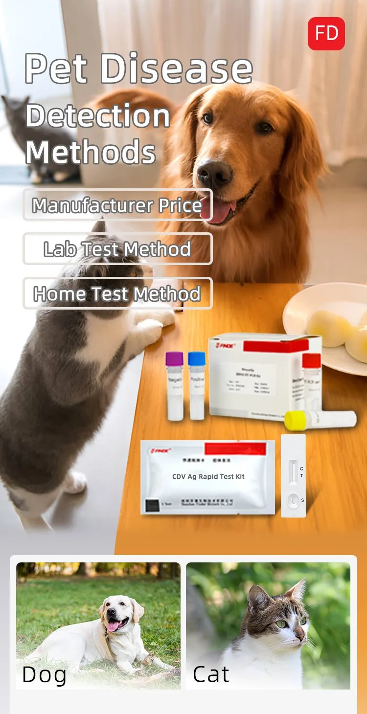 Pet Disease Detection Methods 4