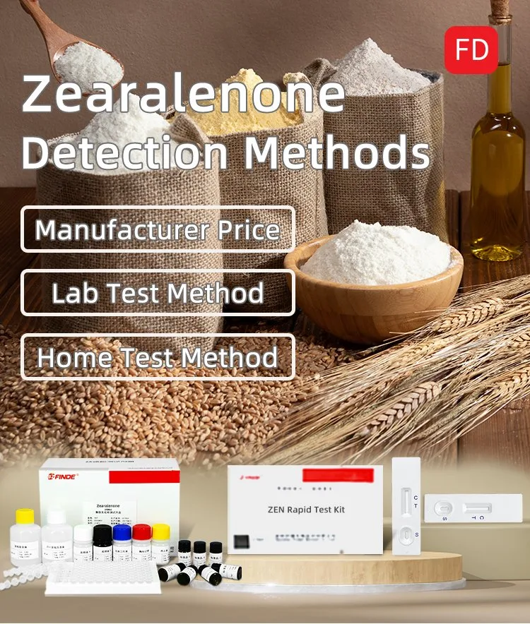 Zearalenone Detection Methods 4