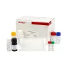 Avian Influenza Virus Antibody (AIV Ab) ELISA Kit 1