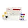Chlorotetracycline (CTC) ELISA Kit 1