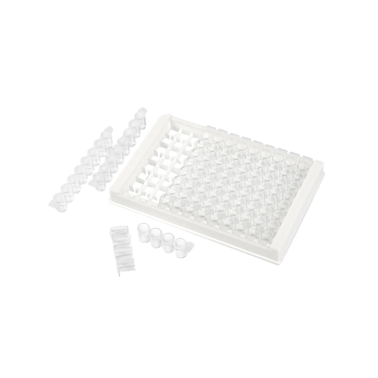 OvineCaprine Clostridium Perfringens Alpha-Toxin Antibody (CLP Ab) ELISA Kit 3