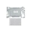 GoatSheep Pox Virus Antibody (GSPV Ab) ELISA Kit 5