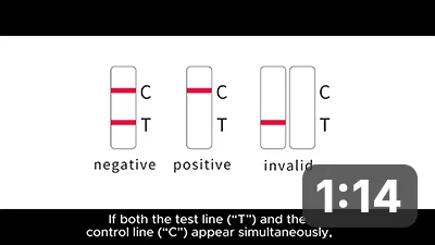 Color disappearance assay using veterinary drug residues rapid test kits