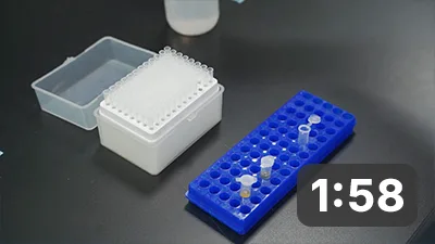 Demonstration of the use of the Aflatoxin B1 (AFB1) Rapid Test Kit