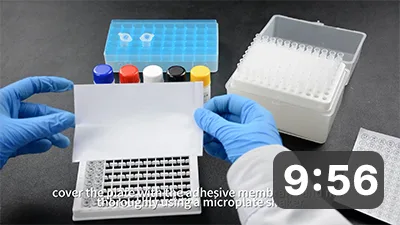 Food safety ELISA kit——two-step assay